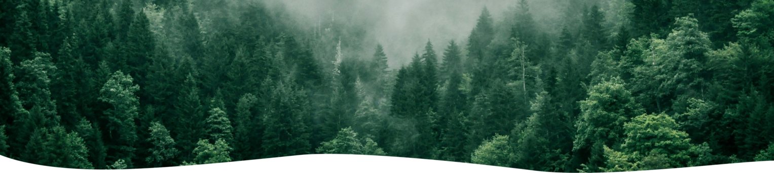 background-image